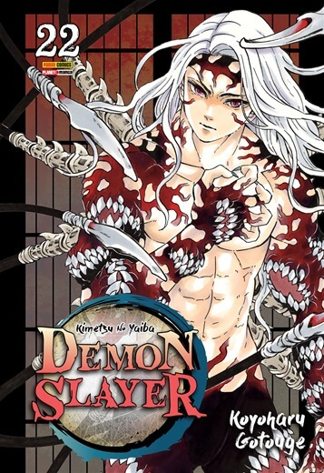 Demon Slayer 22