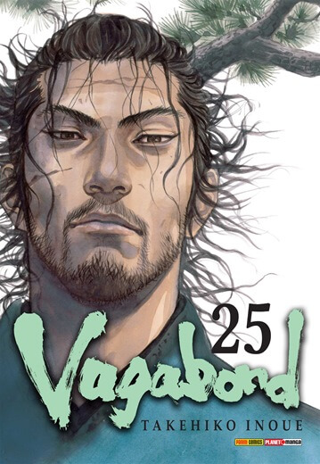 Vagabond 25