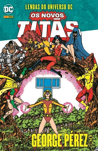 Lendas do Universo DC: Os Novos Titãs 6