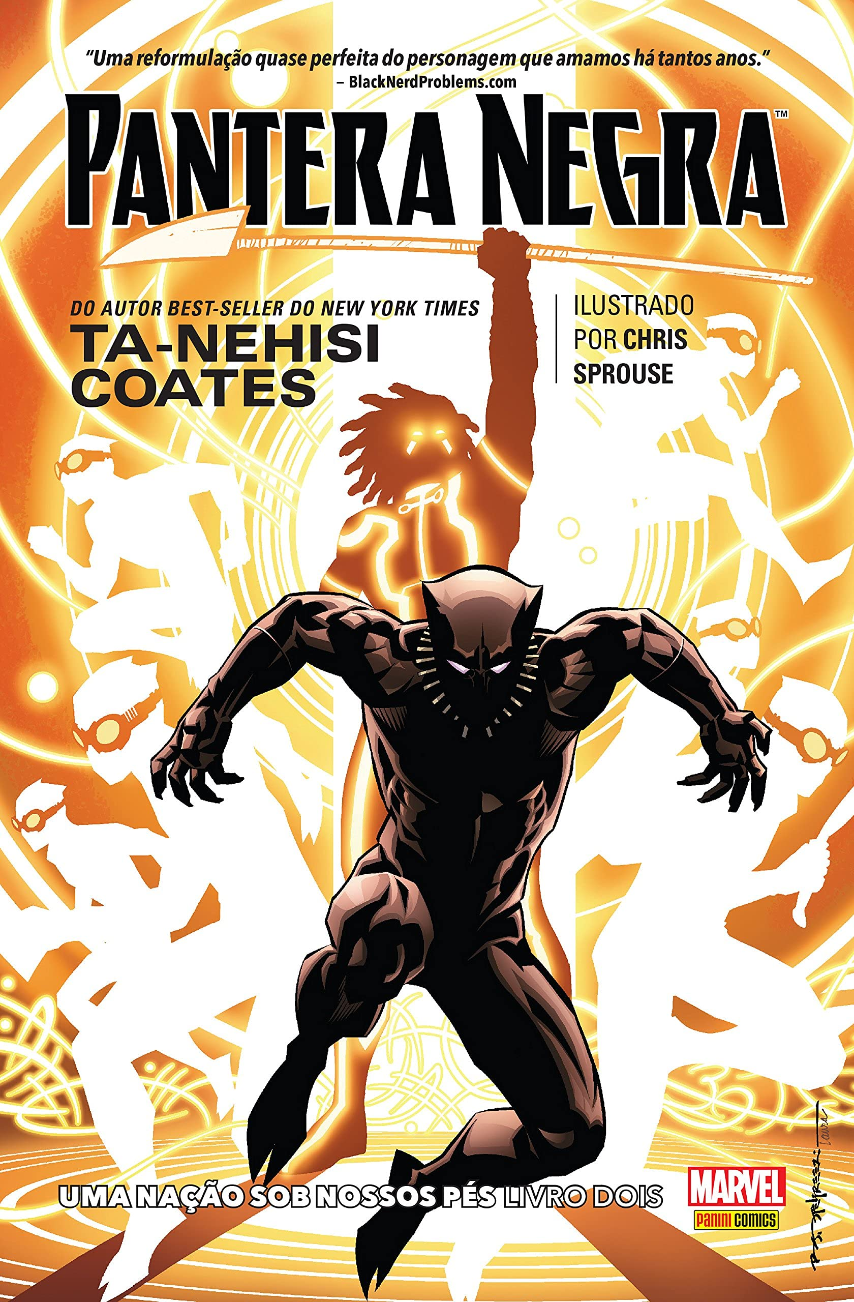 Pantera Negra: Uma Nação Sob Nossos Pés 2