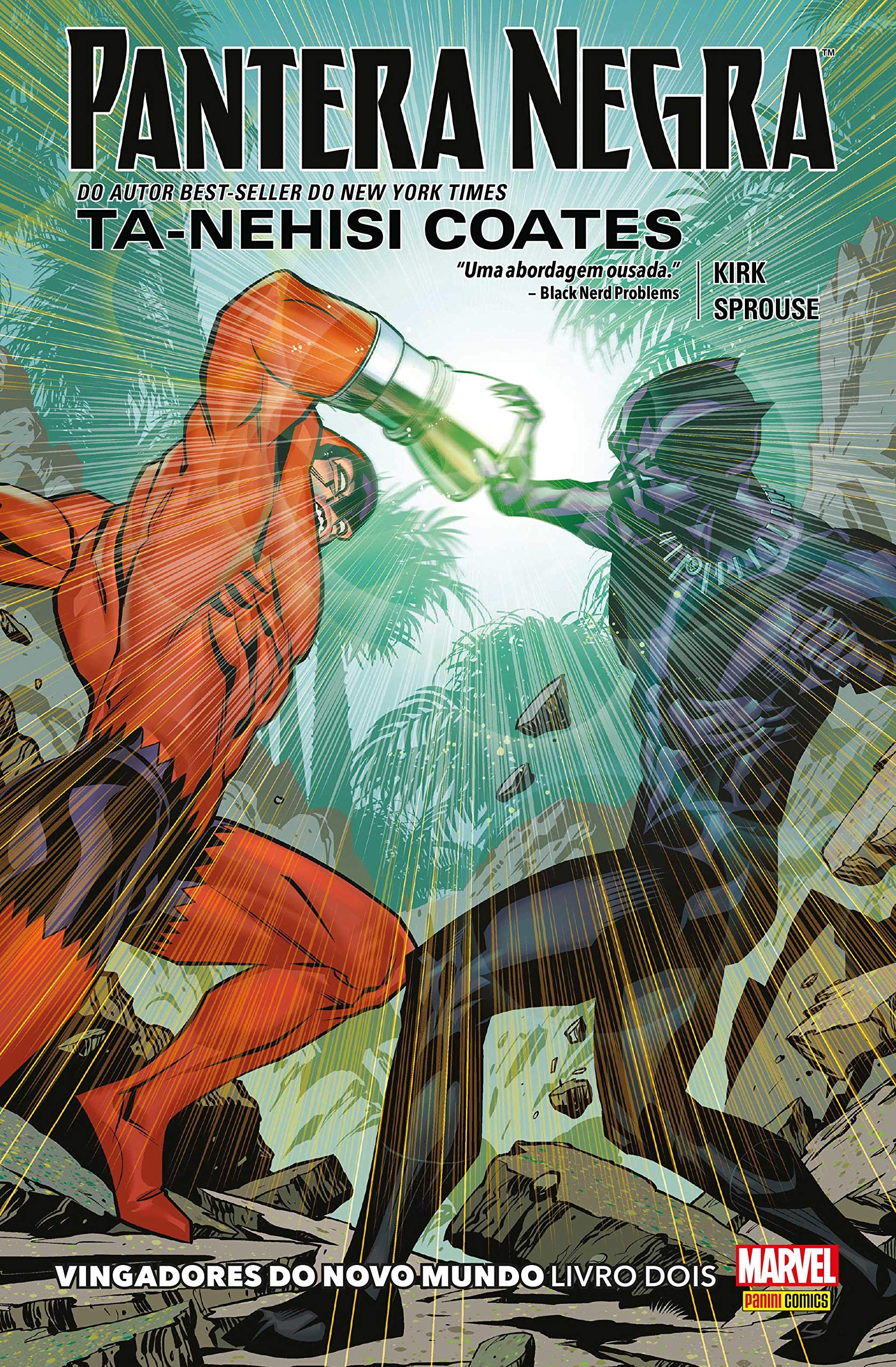 Pantera Negra: Vingadores do Novo Mundo 2