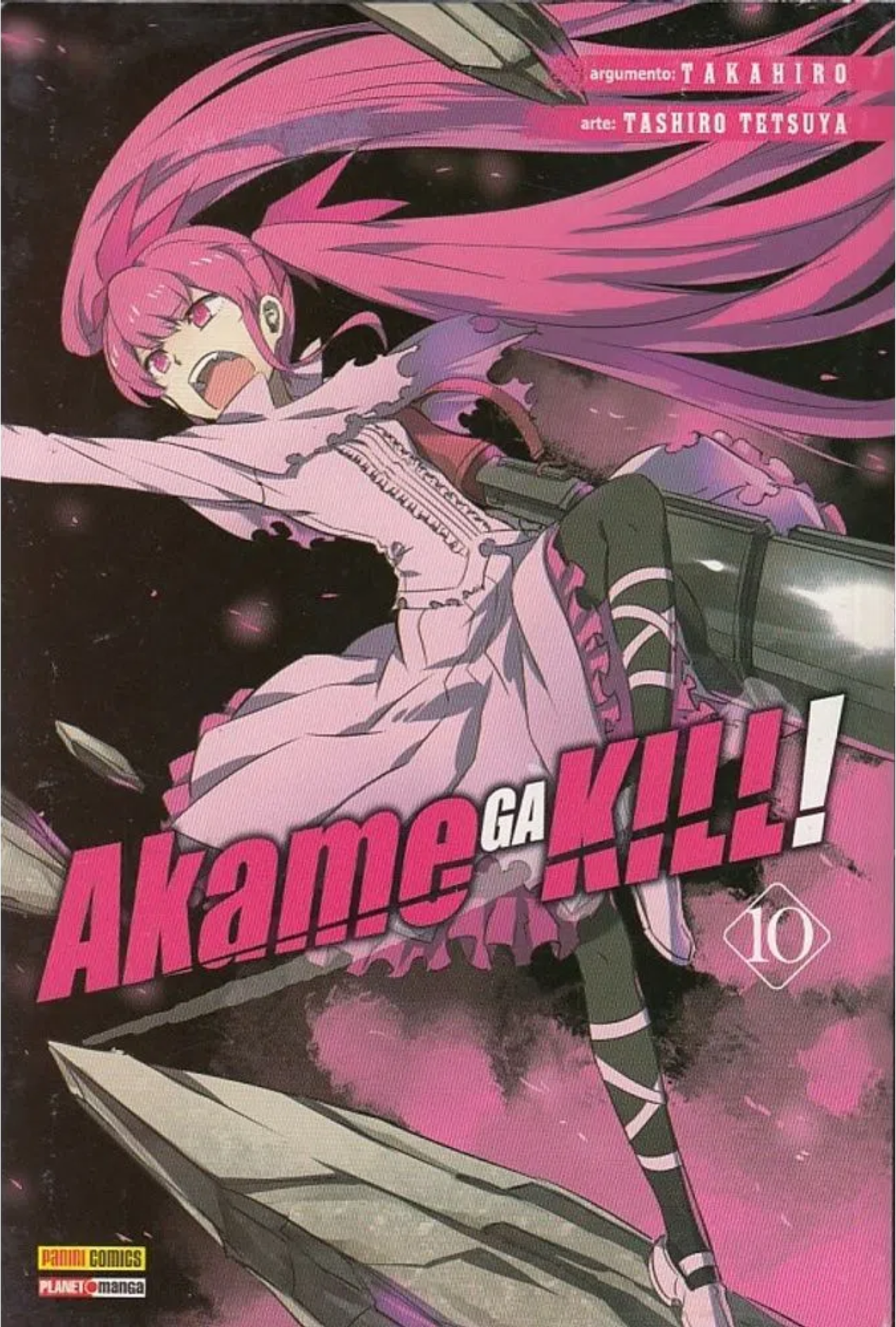 Akame Ga Kill 10