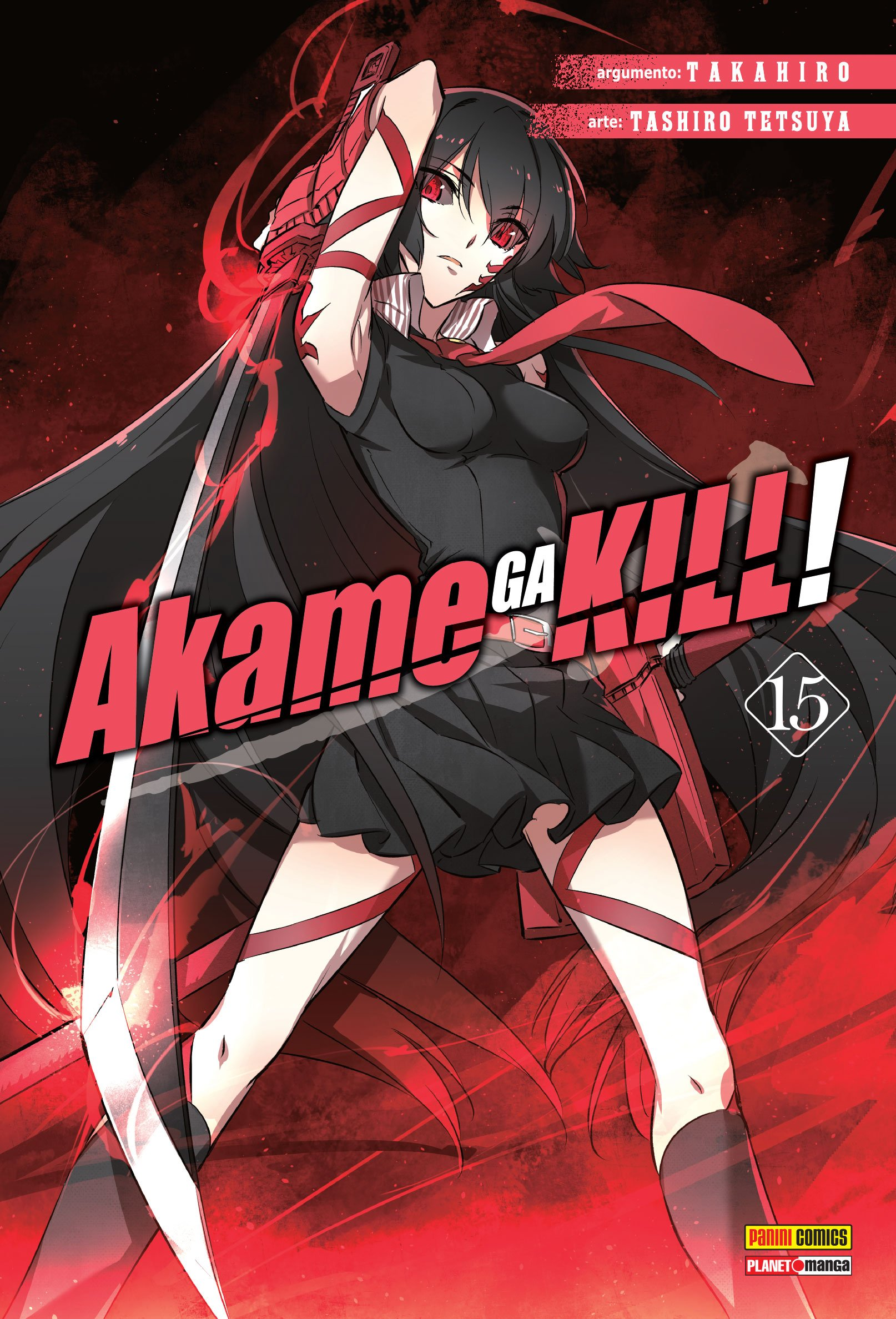 Akame Ga Kill 15