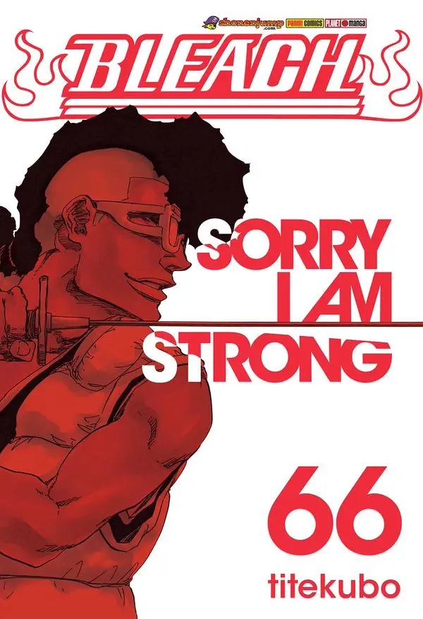 Bleach 66