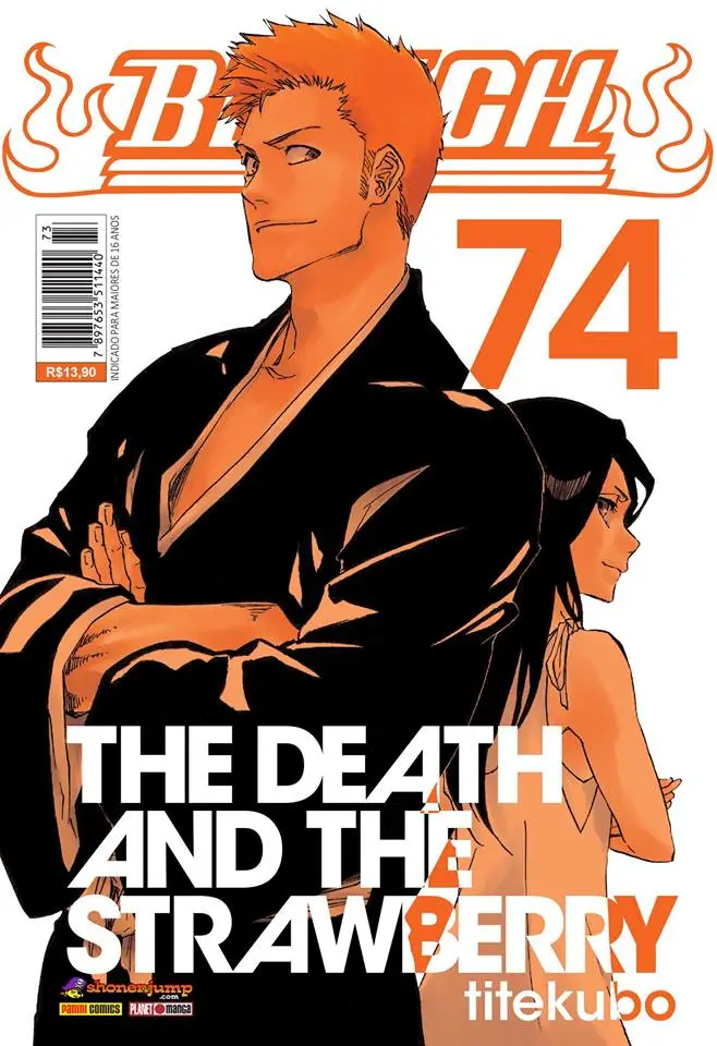 Bleach 74
