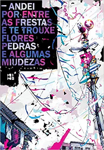 Andei por Entre as Frestas e te Trouxe Flores, Pedras e Algumas Miudezas