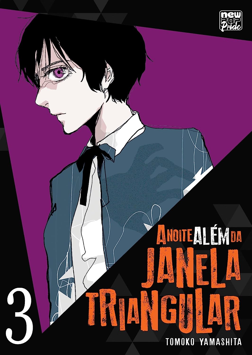 A Noite Alem da Janela Triangular 03