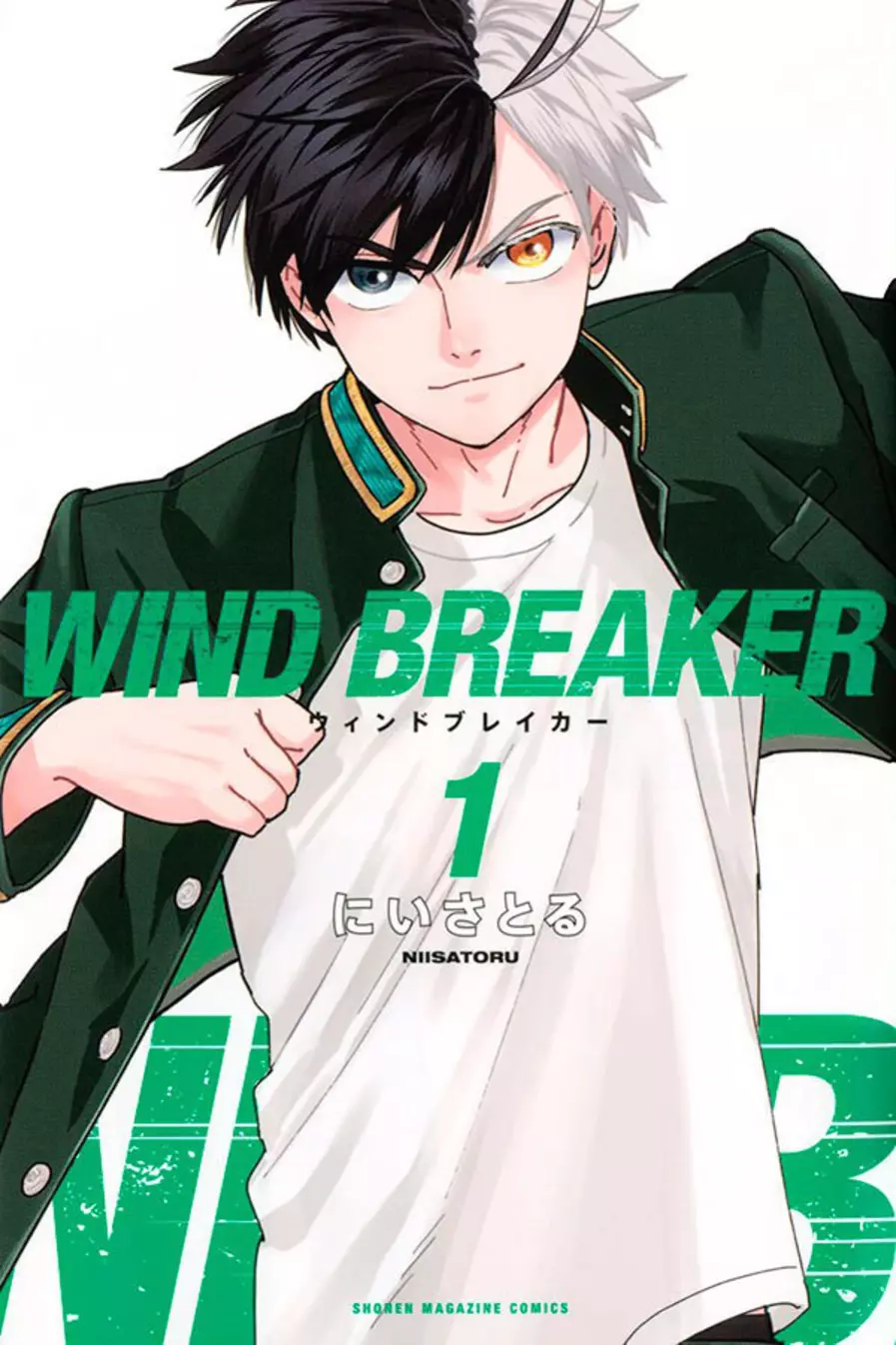 Wind Breaker 01