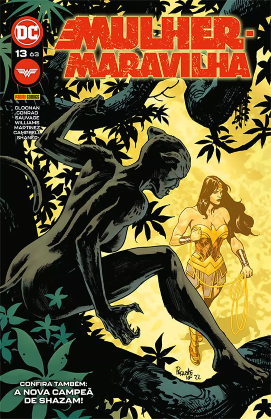 Mulher-Maravilha 13