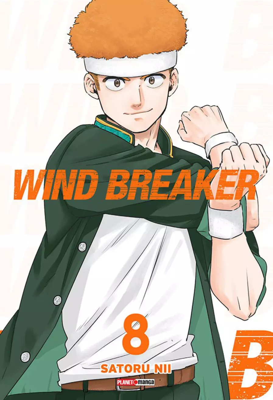 Wind Breaker 08
