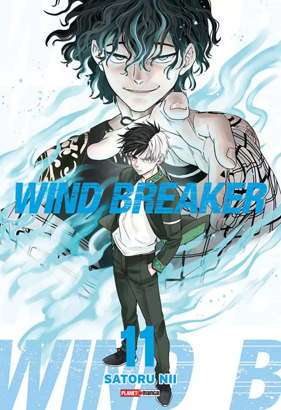 Wind Breaker 11