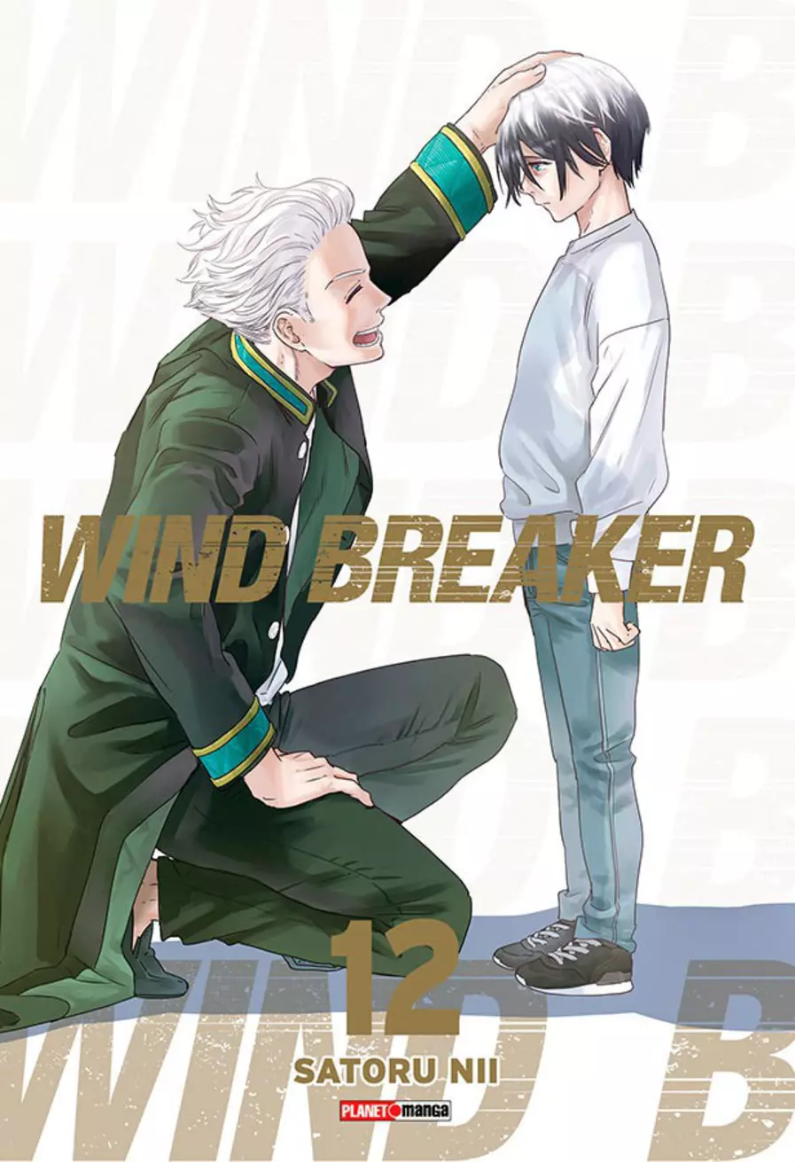 Wind Breaker 12