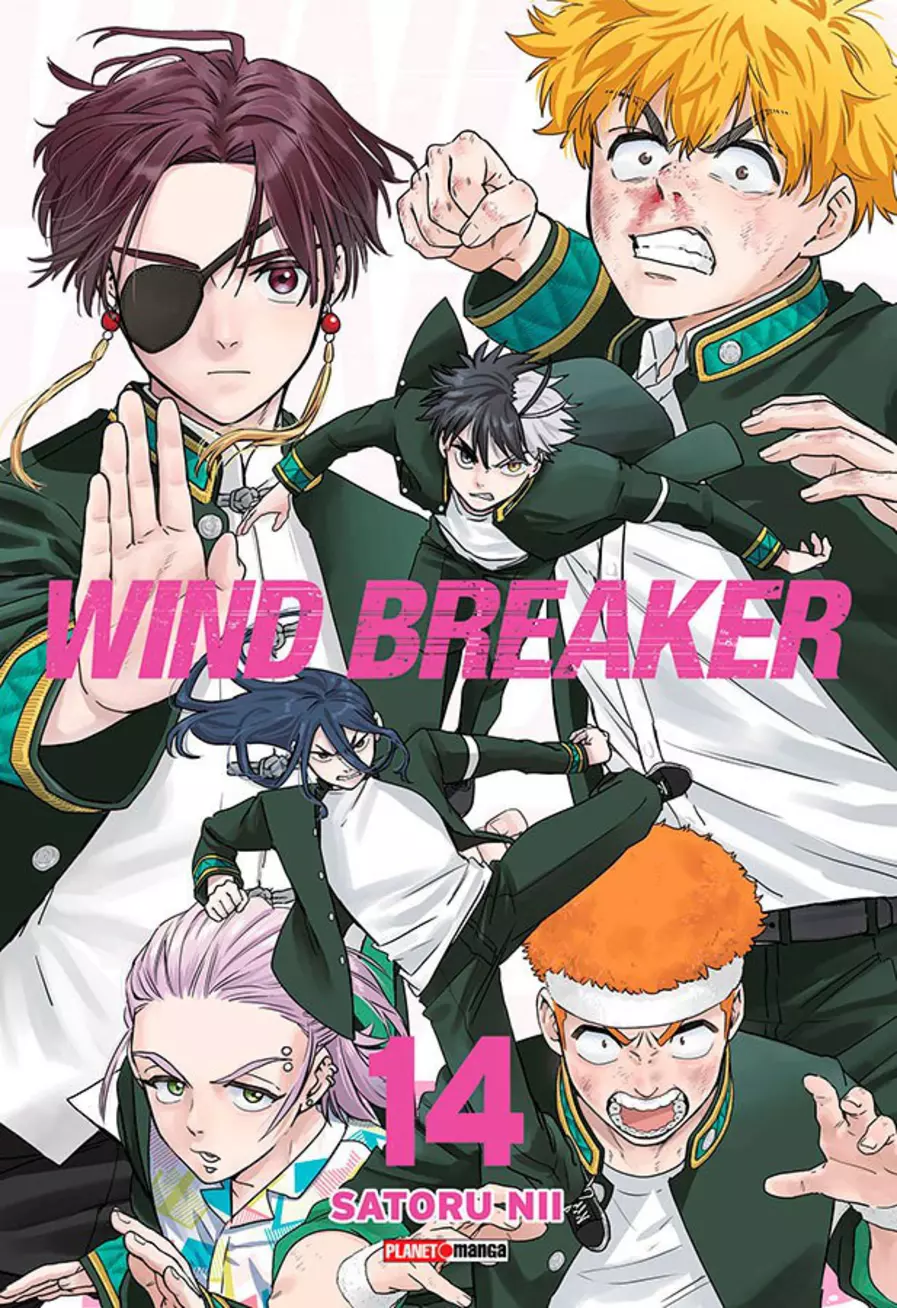 Wind Breaker 14