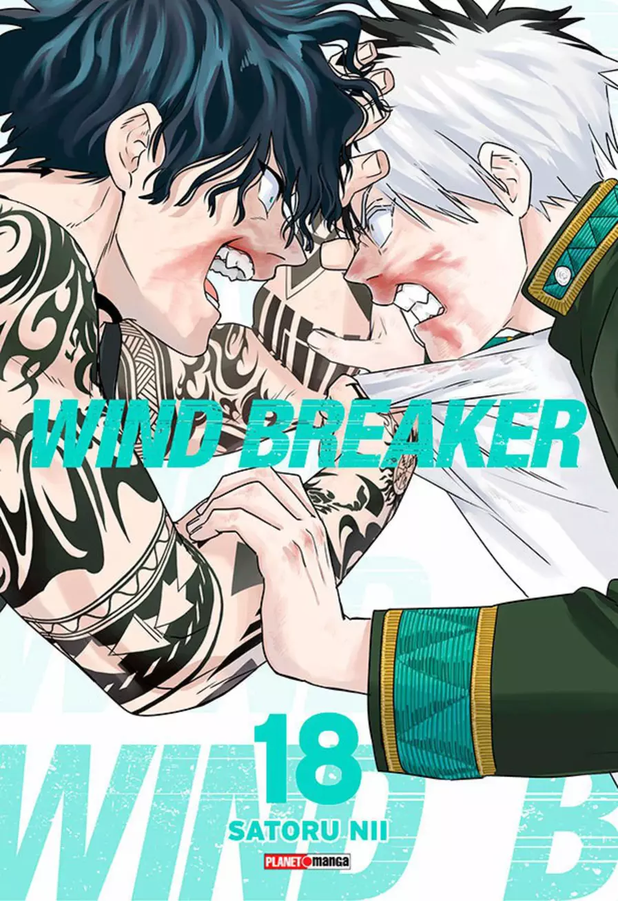 Wind Breaker 18