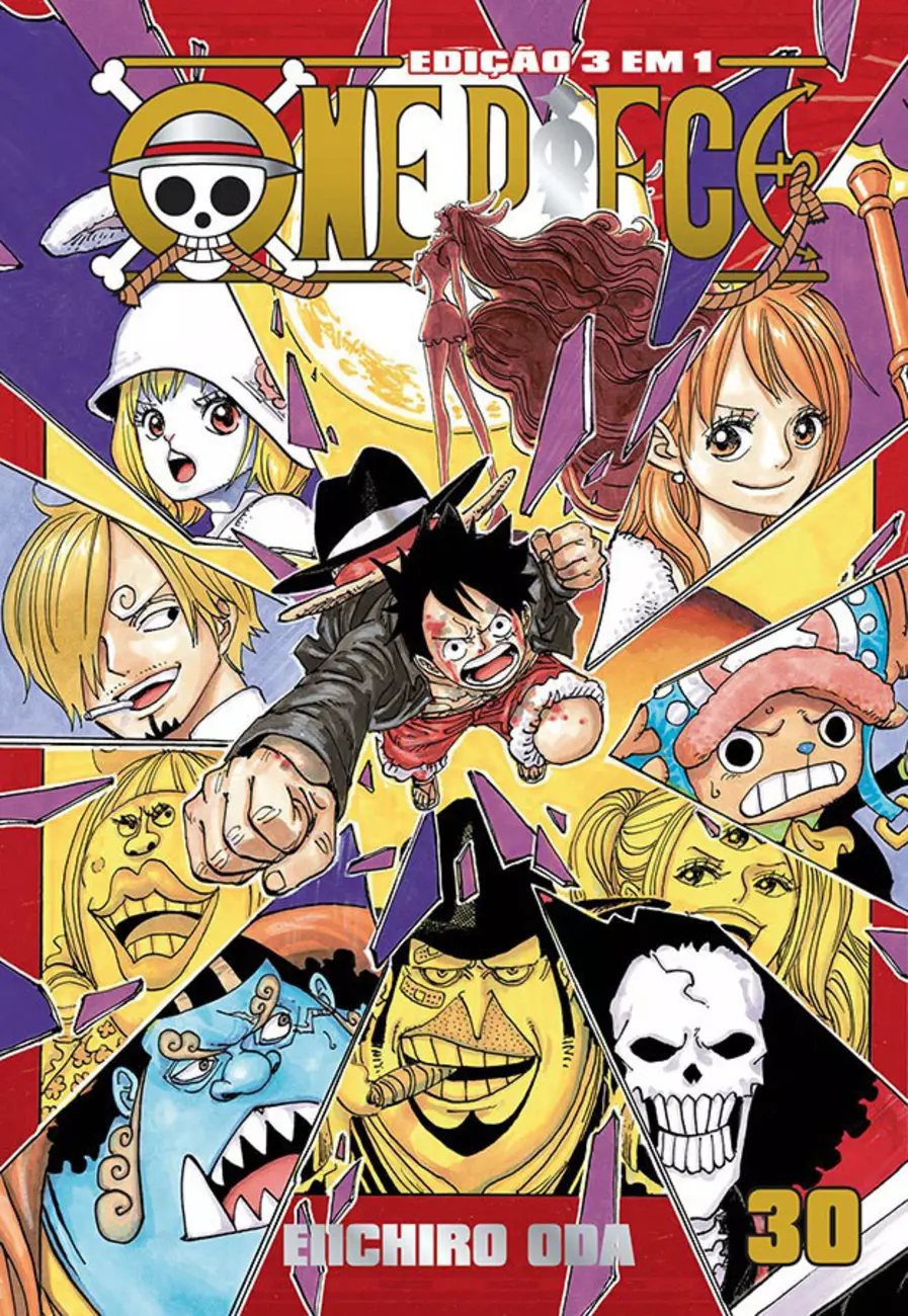 One Piece (3 em 1) 30