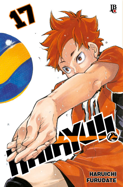 Haikyu!! 17