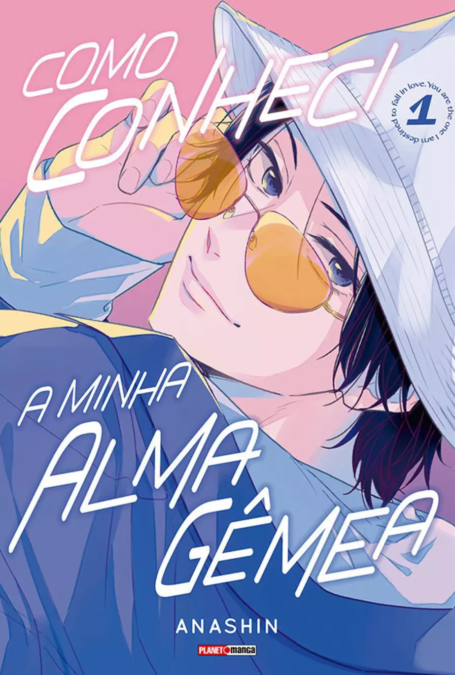 Como Conheci A Minha Alma Gêmea 01