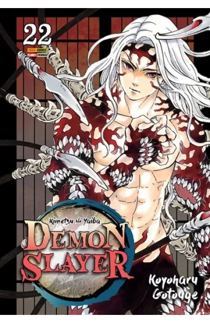 Demon Slayer 22