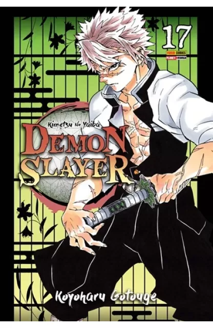 Demon Slayer 17