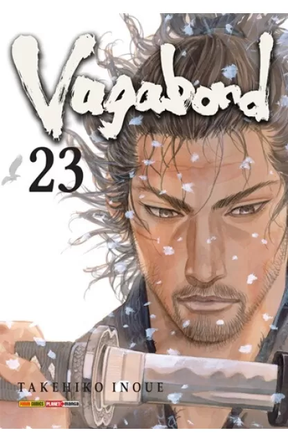 Vagabond 23