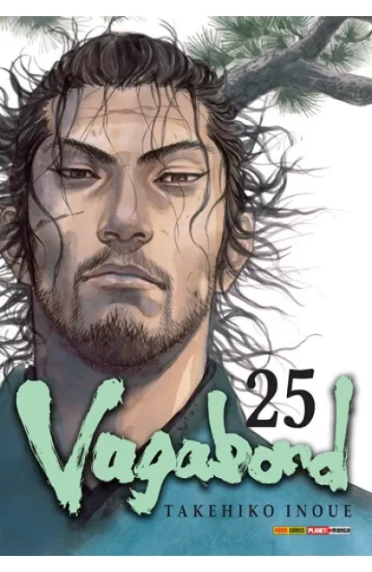 Vagabond 25