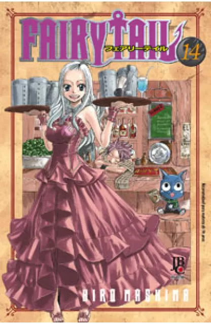 Fairy Tail 14