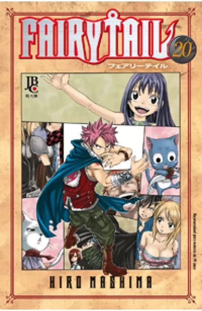 Fairy Tail 20