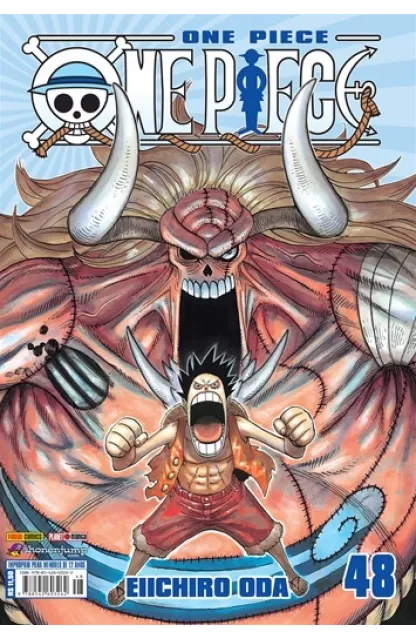One Piece 48