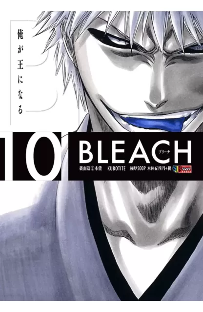 Bleach Remix 10