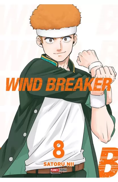 Wind Breaker 08