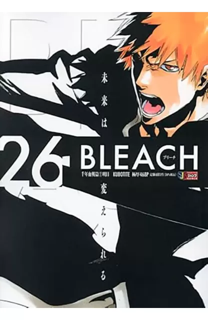 Bleach Remix 26