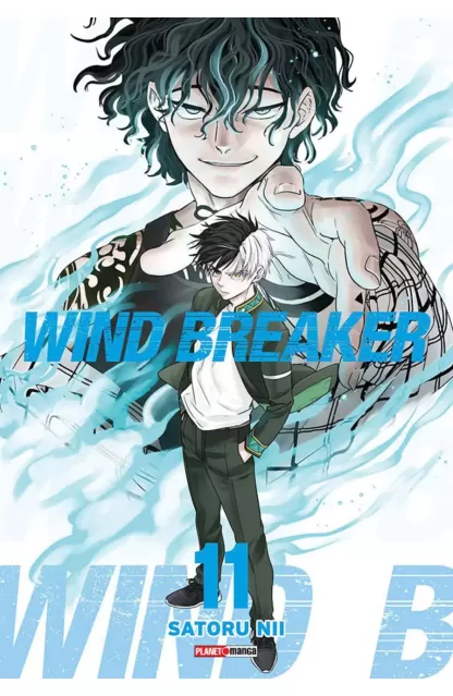 Wind Breaker 11