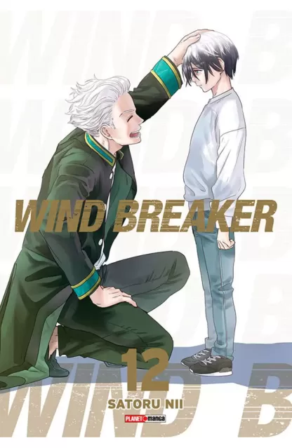 Wind Breaker 12