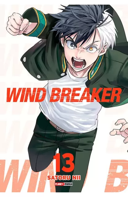 Wind Breaker 13