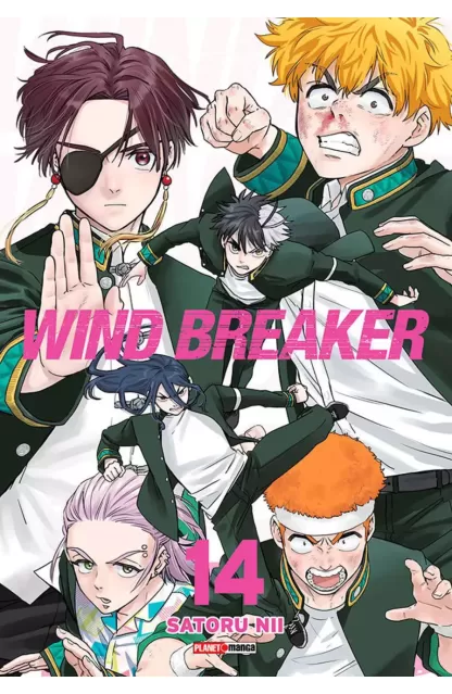 Wind Breaker 14