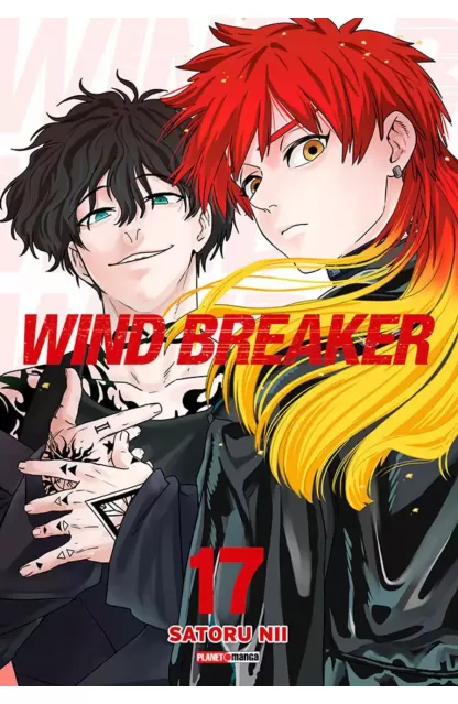 Wind Breaker 17