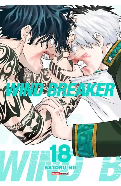 Wind Breaker 18