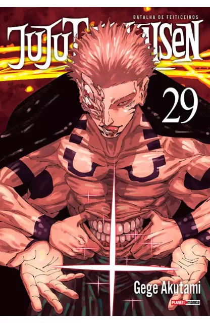 Jujutsu Kaisen 29